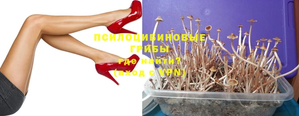 шишки Бронницы