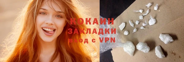 шишки Бронницы