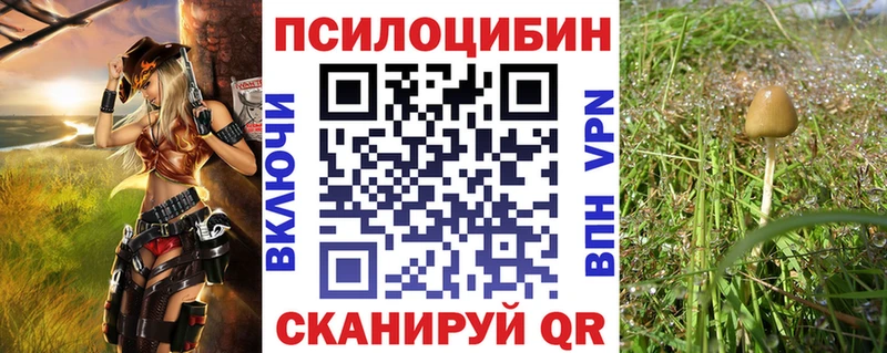 Галлюциногенные грибы мухоморы Приморск